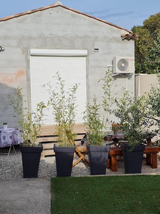 Appartement 53 M² - Pignans Au Coeur Du Var מראה חיצוני תמונה